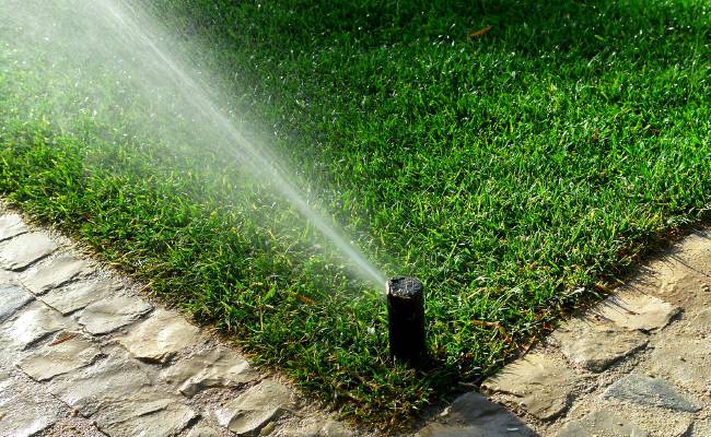Irrigation spray head running on a residential lawn served by Plant Studio Landscape near Muncie, Indiana