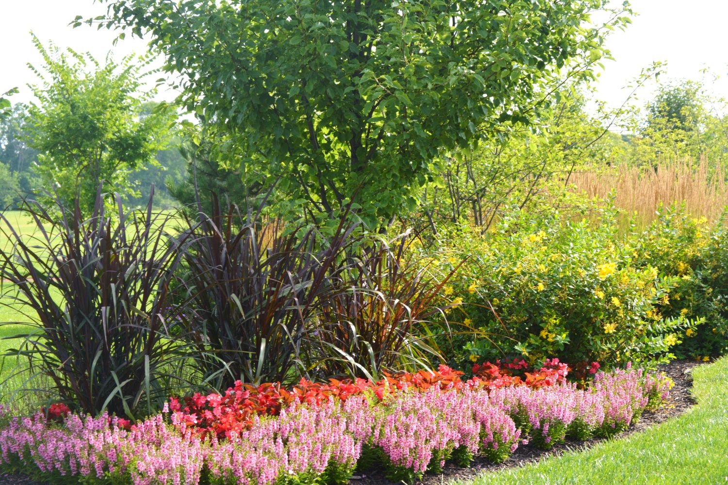 Trees, shrubs, and bed edging on a Plant Studio Landscape property in Muncie