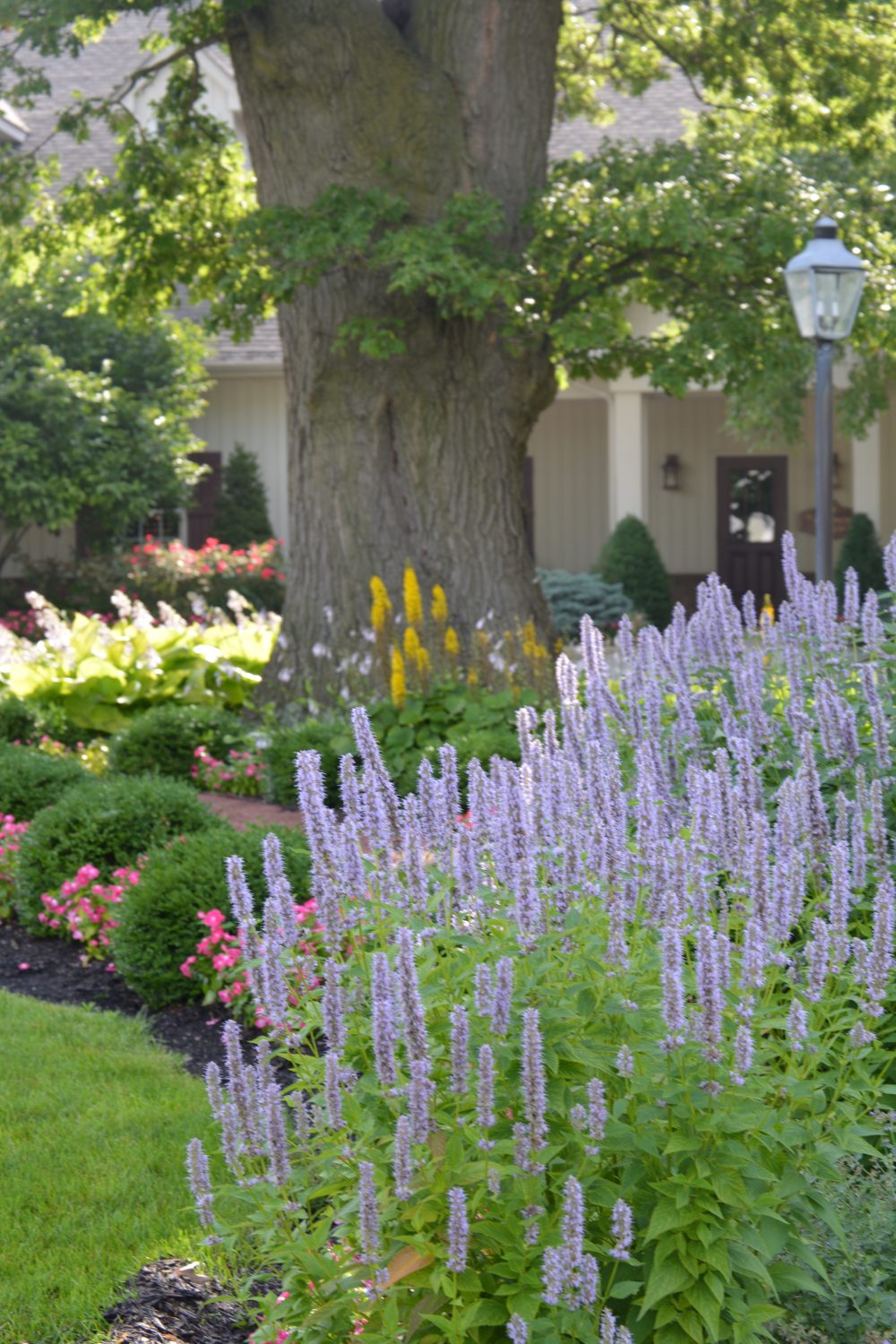 Fresh annuals and edged beds with proper mulch depth by Plant Studio Landscape near Muncie, Indiana