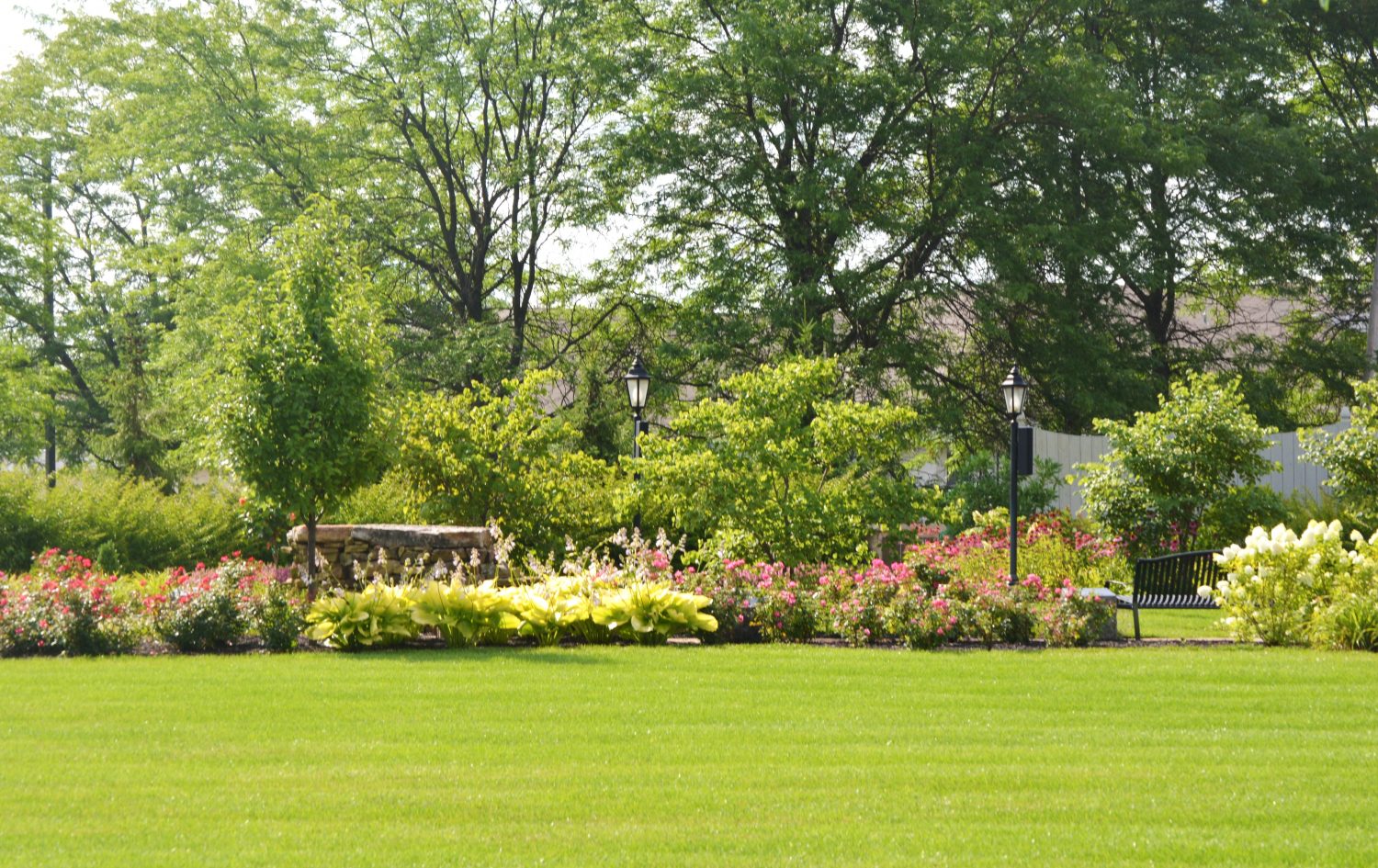 Established sod lawn installed by Plant Studio Landscape near Muncie, Indiana